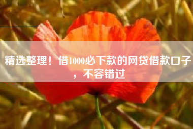 精选整理！借1000必下款的网贷借款口子，不容错过