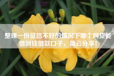 整理一份征信不好的情况下哪个网贷能借到钱借款口子，简云分享！