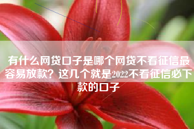 有什么网贷口子是哪个网贷不看征信最容易放款？这几个就是2022不看征信必下款的口子