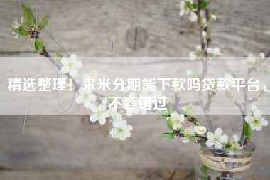 精选整理！来米分期能下款吗贷款平台，不容错过