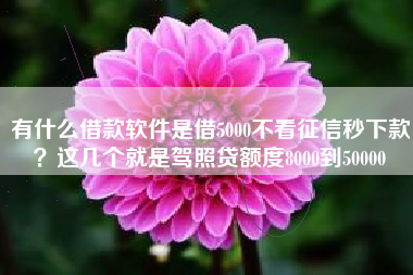 有什么借款软件是借5000不看征信秒下款？这几个就是驾照贷额度8000到50000
