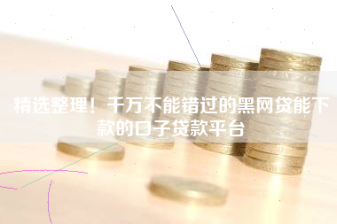 精选整理！千万不能错过的黑网贷能下款的口子贷款平台