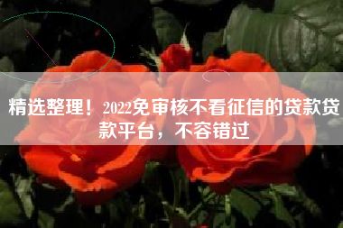 精选整理！2022免审核不看征信的贷款贷款平台，不容错过