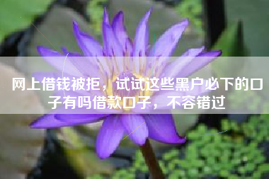 网上借钱被拒，试试这些黑户必下的口子有吗借款口子，不容错过