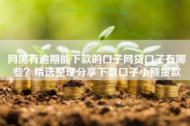 网黑有逾期能下款的口子网贷口子有哪些？精选整理分享下款口子小额贷款