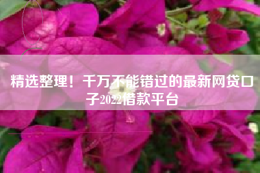 精选整理！千万不能错过的最新网贷口子2022借款平台