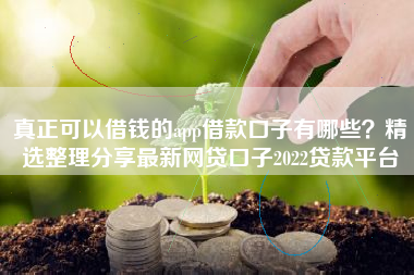 真正可以借钱的app借款口子有哪些？精选整理分享最新网贷口子2022贷款平台
