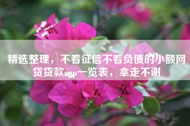 精选整理，不看征信不看负债的小额网贷贷款app一览表，拿走不谢
