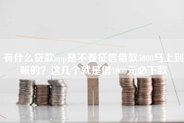 有什么贷款app是不看征信借款5000马上到账的？这几个就是借1000元必下款
