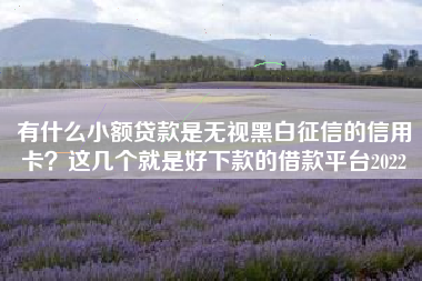 有什么小额贷款是无视黑白征信的信用卡？这几个就是好下款的借款平台2022