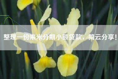 整理一份来米分期小额贷款，简云分享！