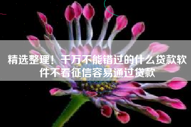 精选整理！千万不能错过的什么贷款软件不看征信容易通过贷款