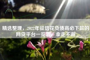 精选整理，2022年征信花负债高必下款的网贷平台一览表，拿走不谢
