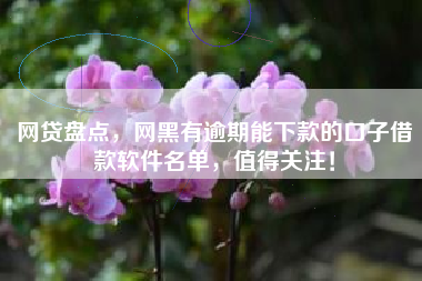 网贷盘点，网黑有逾期能下款的口子借款软件名单，值得关注！