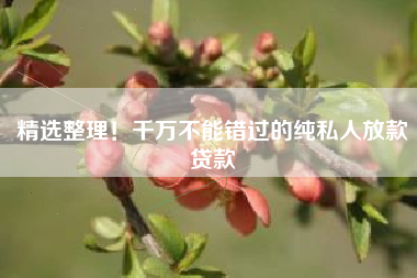 精选整理！千万不能错过的纯私人放款贷款