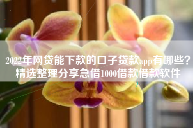 2022年网贷能下款的口子贷款app有哪些？精选整理分享急借1000借款借款软件