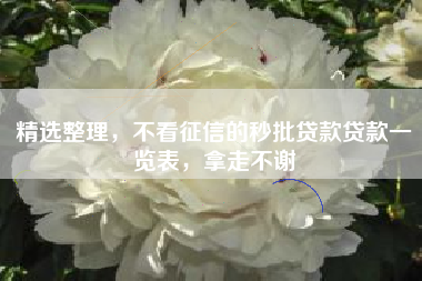 精选整理，不看征信的秒批贷款贷款一览表，拿走不谢