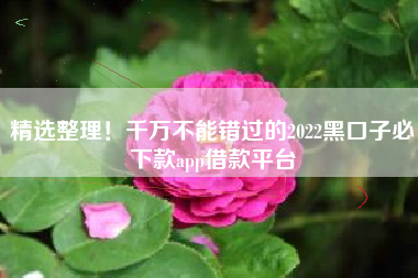 精选整理！千万不能错过的2022黑口子必下款app借款平台