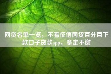 网贷名单一览，不看征信网贷百分百下款口子贷款app，拿走不谢
