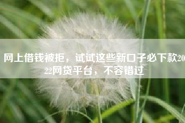 网上借钱被拒，试试这些新口子必下款2022网贷平台，不容错过