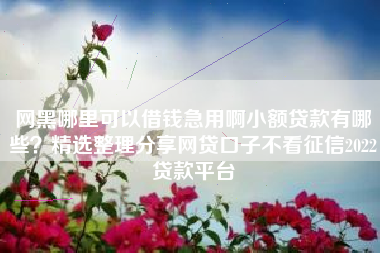 网黑哪里可以借钱急用啊小额贷款有哪些？精选整理分享网贷口子不看征信2022贷款平台