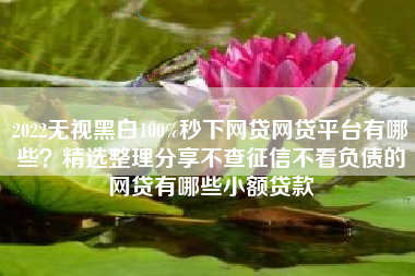 2022无视黑白100%秒下网贷网贷平台有哪些？精选整理分享不查征信不看负债的网贷有哪些小额贷款