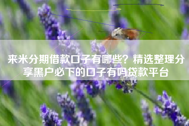 来米分期借款口子有哪些？精选整理分享黑户必下的口子有吗贷款平台