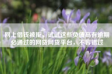 网上借钱被拒，试试这些负债高有逾期必通过的网贷网贷平台，不容错过