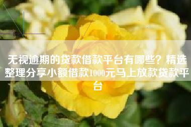 无视逾期的贷款借款平台有哪些？精选整理分享小额借款1000元马上放款贷款平台
