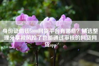 身份证借钱5000网贷平台有哪些？精选整理分享被风控了也能通过审核的网贷网贷app