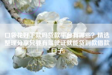 口袋花好下款吗贷款平台有哪些？精选整理分享只要有驾驶证就能贷到款借款口子