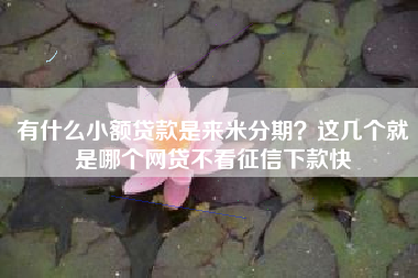 有什么小额贷款是来米分期？这几个就是哪个网贷不看征信下款快