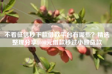 不看征信秒下款借款平台有哪些？精选整理分享1000元借款秒过小额贷款
