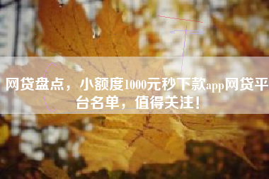网贷盘点，小额度1000元秒下款app网贷平台名单，值得关注！