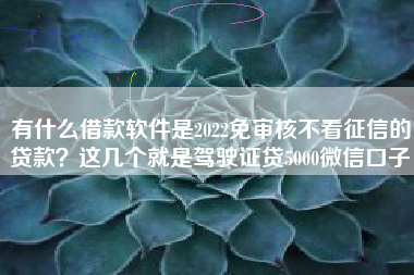 有什么借款软件是2022免审核不看征信的贷款？这几个就是驾驶证贷5000微信口子