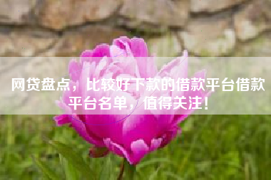 网贷盘点，比较好下款的借款平台借款平台名单，值得关注！
