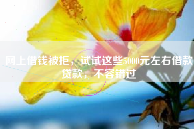 网上借钱被拒，试试这些5000元左右借款贷款，不容错过