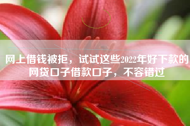 网上借钱被拒，试试这些2022年好下款的网贷口子借款口子，不容错过