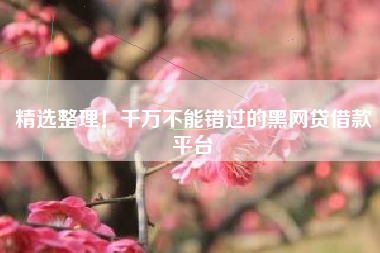 精选整理！千万不能错过的黑网贷借款平台
