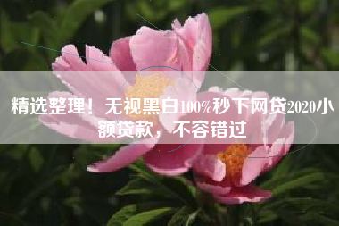 精选整理！无视黑白100%秒下网贷2020小额贷款，不容错过