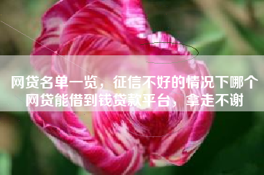 网贷名单一览，征信不好的情况下哪个网贷能借到钱贷款平台，拿走不谢