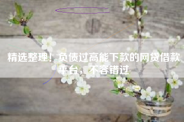 精选整理！负债过高能下款的网贷借款平台，不容错过