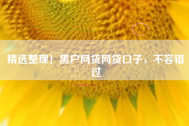 精选整理！黑户网贷网贷口子，不容错过