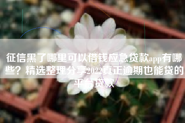 征信黑了哪里可以借钱应急贷款app有哪些？精选整理分享2022真正逾期也能贷的平台贷款
