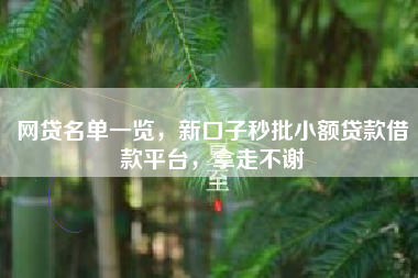 网贷名单一览，新口子秒批小额贷款借款平台，拿走不谢