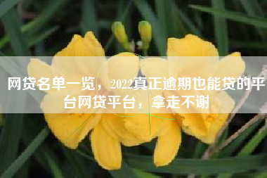 网贷名单一览，2022真正逾期也能贷的平台网贷平台，拿走不谢