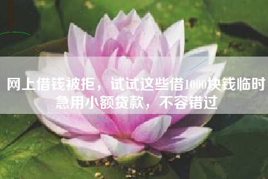 网上借钱被拒，试试这些借1000块钱临时急用小额贷款，不容错过