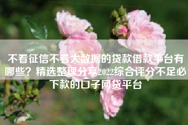 不看征信不看大数据的贷款借款平台有哪些？精选整理分享2022综合评分不足必下款的口子网贷平台