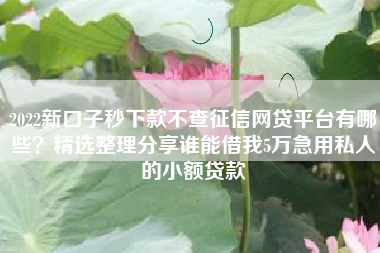 2022新口子秒下款不查征信网贷平台有哪些？精选整理分享谁能借我5万急用私人的小额贷款