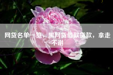 网贷名单一览，黑网贷借款贷款，拿走不谢